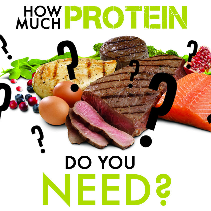How Much Protein Should You Be Eating?